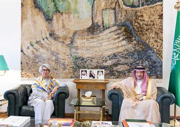 معالي نائب وزير الخارجية يستقبل الممثل الخاص للاتحاد الأوروبي للقرن الأفريقي